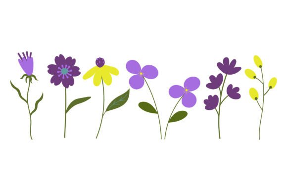 Set with Bloom Flowers and Plants Graphics & Illustrations Review