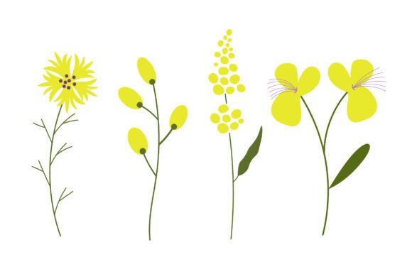 Set with Bloom Yellow Flowers Graphics and Illustrations Review